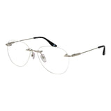 BMW Silver Titanium Glasses (Frames)