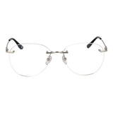 BMW Silver Titanium Glasses (Frames)