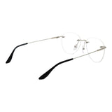 BMW Silver Titanium Glasses (Frames)