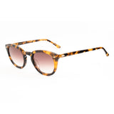 Belstaff Brown Acetate Sunglasses