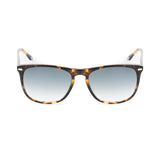 Belstaff Brown Acetate Sunglasses