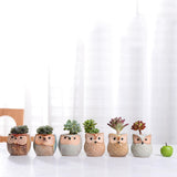 Owl Thumb Planter, Hand-Painted Ceramic Succulent Pot