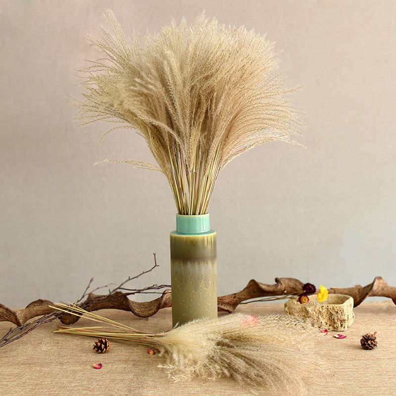 Dried Reed Flower Bouquet for Home and Wedding Decor