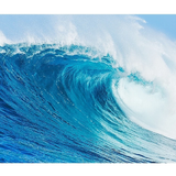 Home Ocean Tapestry / Wall Blanket / Beach Towel