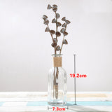 Creative Glass Vase for Home Decor with Plants