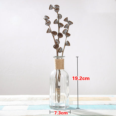 Creative Glass Vase for Home Decor with Plants
