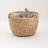 Woven Hanging Basket for Indoor Plant Decoration