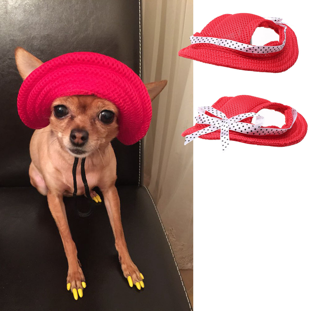 Summer Outdoor Breathable Dog Cap - Pet Accessories
