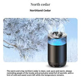 Car Fragrance Diffuser