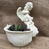 Resin Angel Planter for Succulents and Mini Gardens