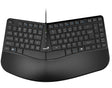 Genius Keyboard Wired Ergonomic + Palm Rest KB-700 English