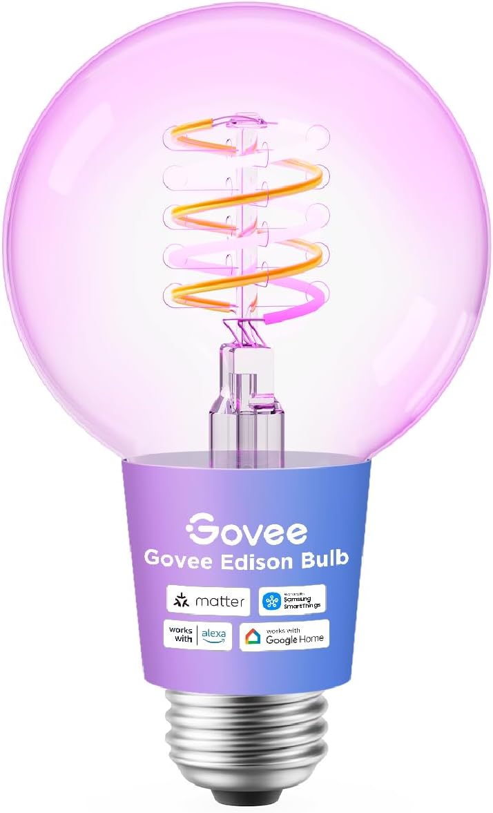Govee Bulb Ceiling E27 Edison G80 Smart LED 500 Lumens Vintage Bulb R14C1CC1