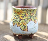 Hand-Painted Ceramic Succulent Planter Pot