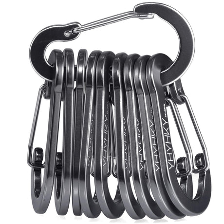 YHYHKY 10 Pack 2.7 Inch D Shape Aluminum Carabiner Spring Hook Keychain Clips Small Carabiners for Hiking Camping Fishing Gym Dog Leash Outdoor Key Rings Backpacks Not for Climbing (Grey)