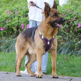 Pet Chest Vest  Strap