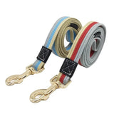 Striped Dog Leash with Safety Rope and Traction Line