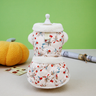 Autumn & Winter Pet Clothes