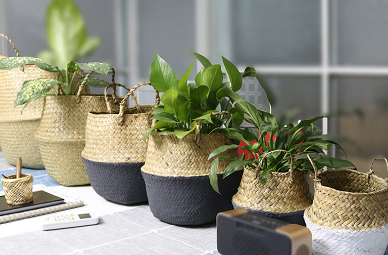 Handcrafted Woven Seagrass Basket and Planter