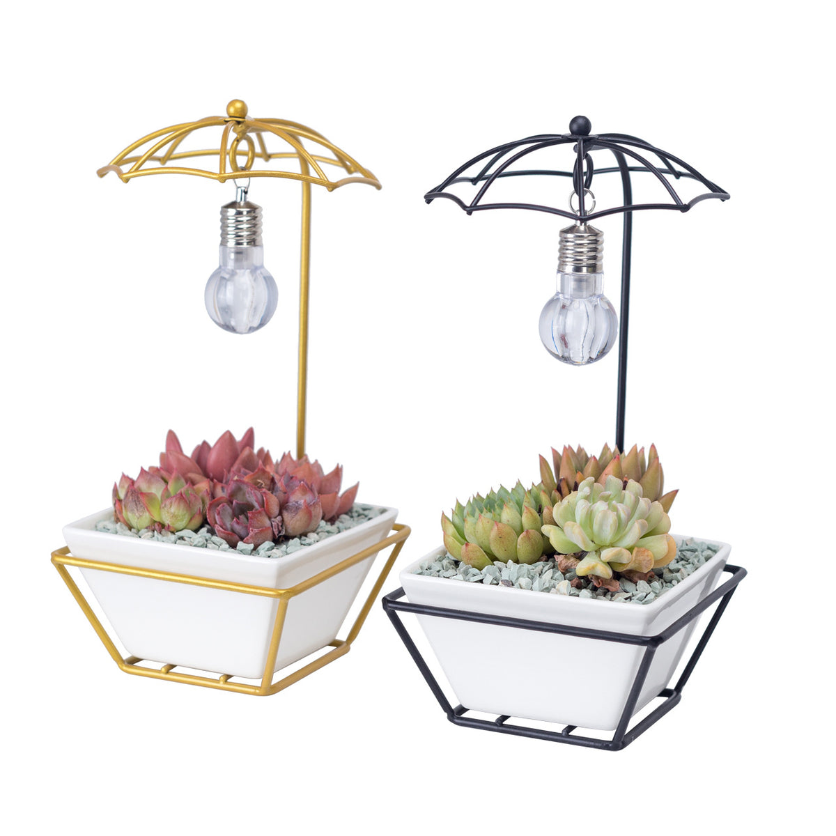 Modern Creative Umbrella Light Bulb Planter Set