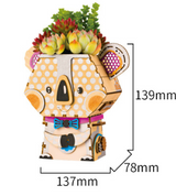DIY Wooden 3D Puzzle with Succulent Planter