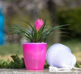 Self-Watering Planter for Green Plants and Succulents