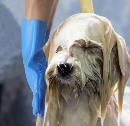 Pet Grooming Gloves