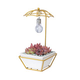 Modern Creative Umbrella Light Bulb Planter Set
