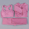 2/3PCS Seamless Women Workout Sportswear - Atlantic Shopping Mall