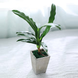Nordic Faux Potted Plant for Home Decor (Tabletop)
