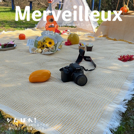 Outdoor Picnic Blanket for Parks and Camping Trips