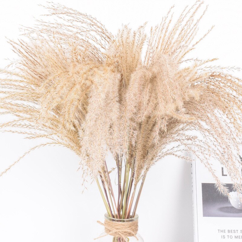Dried Reed Flower Bouquet for Home and Wedding Decor