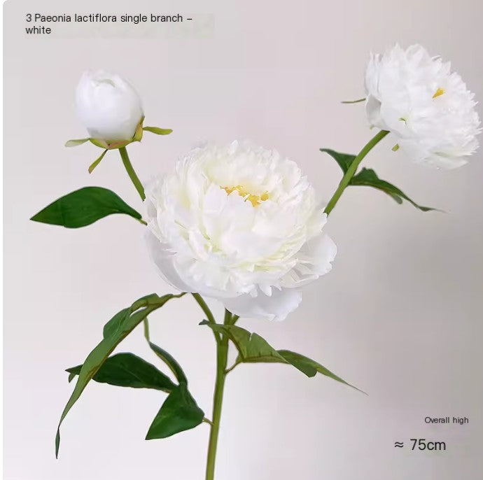 Realistic Peony Plastic Flower Bouquet for Home Decor