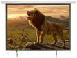 AV:Link Electric Screen 4:3 120'' 2.4x1.8 952.323UK