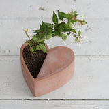 Creative Heart-Shaped Concrete Planter for Succulents