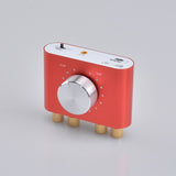 100W Bluetooth Amplifier for Home and Car Use