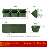 Wall-Mounted Planter for Vertical Greenery (Wholesale)