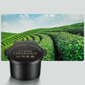Car Aromatherapy Humidifier