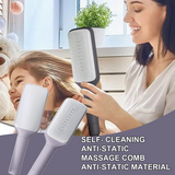 Self Cleaning Hairbrush