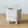 Creative Cement Planter with Legs - Nordic Style