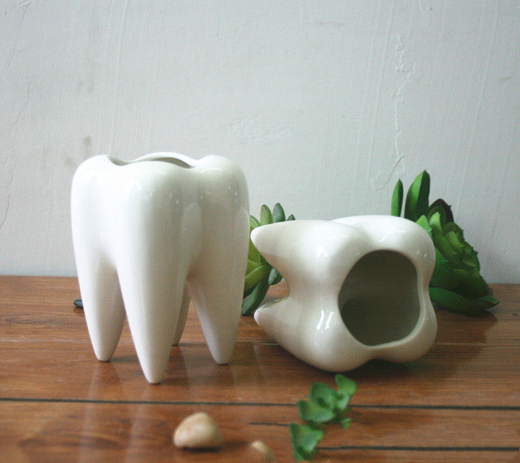 Wholesale White Ceramic Tooth-Shaped Planter Pot