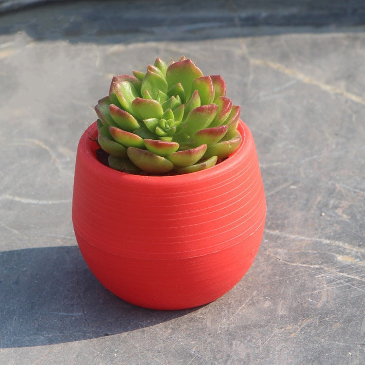 Mini Colorful PP Succulent Planter - Simple Design