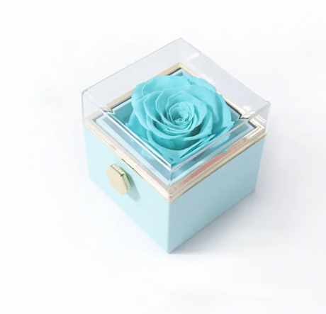BloomSpin Acrylic Jewelry Organizer