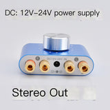 100W Bluetooth Amplifier for Home and Car Use