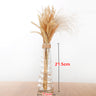 Creative Glass Vase for Home Decor with Plants