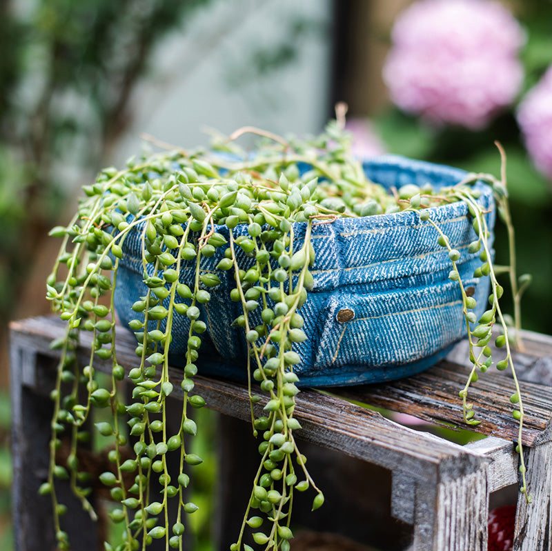 Denim Pocket Planter - Creative Nordic Desktop Decor