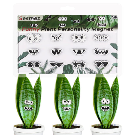 Plant Magnets Eyes for Potted Plants Cute Plant Magnets Pins Charms Funny House Plant Accessories for Plant Lovers Set of 12 Plant Personality Magnets Decor
