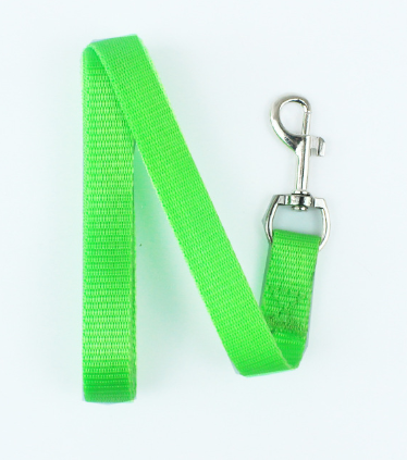 Pet Leash (Single Item)