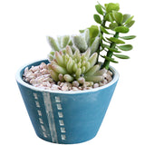 Handmade Cement Planter for Succulents and Greenery