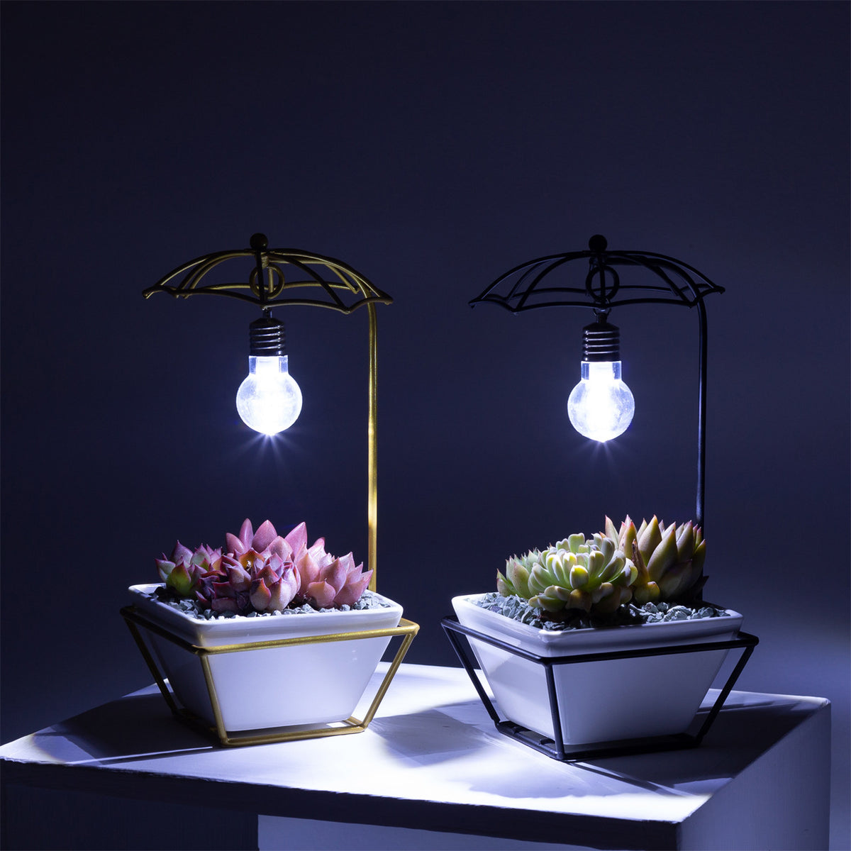 Modern Creative Umbrella Light Bulb Planter Set