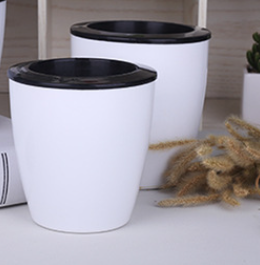 Self-Watering Planter for Green Plants and Succulents